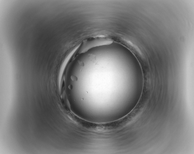 X0000116160641200911301602