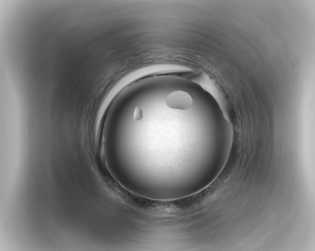 X0000116160642200911301602