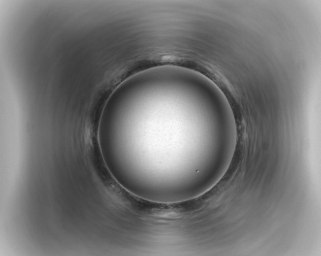 X0000116160643200911301602