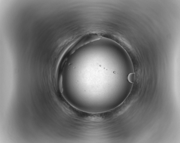 X0000116160644200911301602