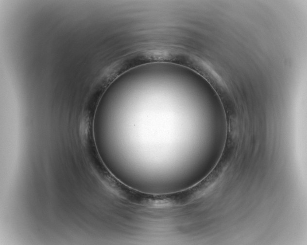 X0000116160645200911301602