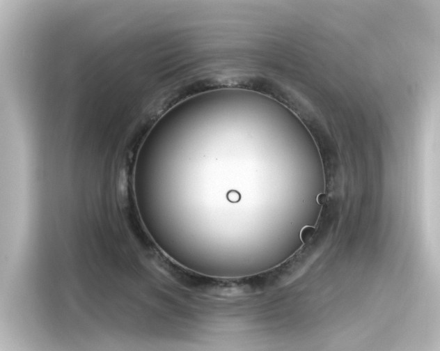 X0000116160646200911301602