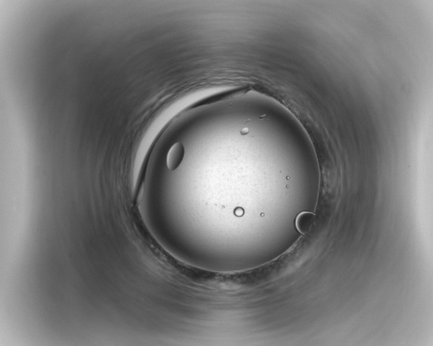 X0000116160648200911301602