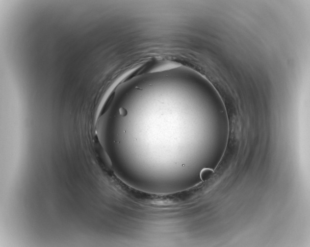 X0000116160650200911301602