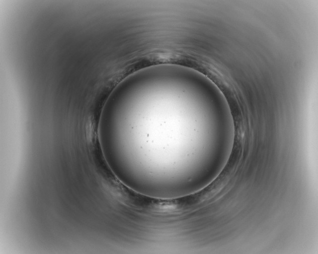 X0000116160651200911301602