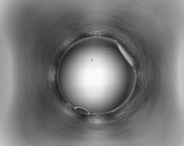 X0000116160652200911301602