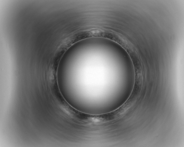 X0000116160654200911301602