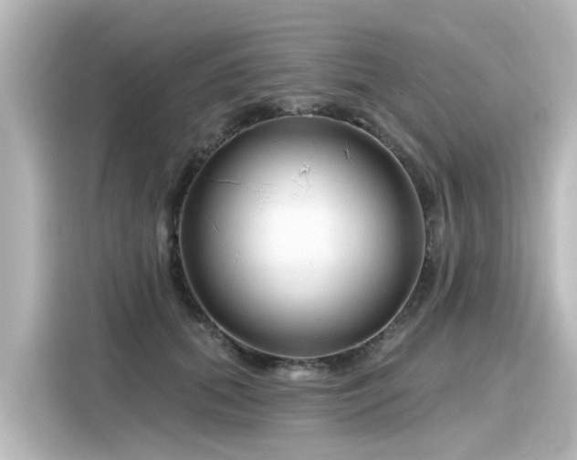 X0000116160655200911301602