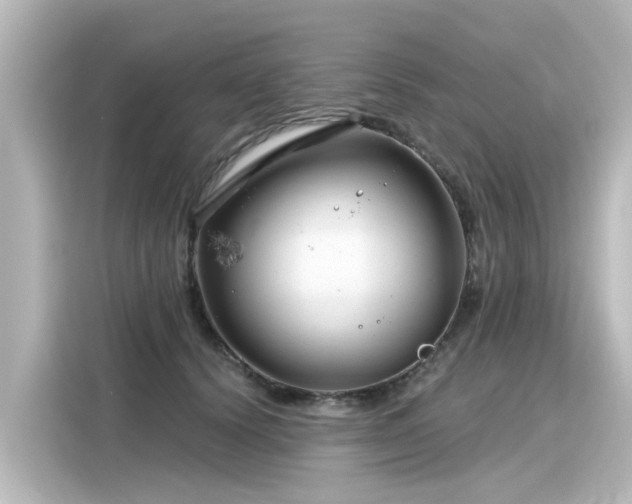 X0000116160656200911301602