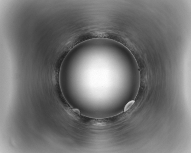 X0000116160658200911301602