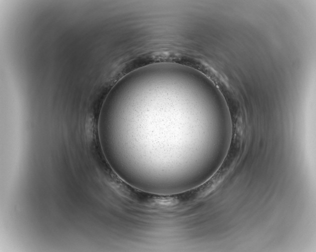 X0000116160659200911301602