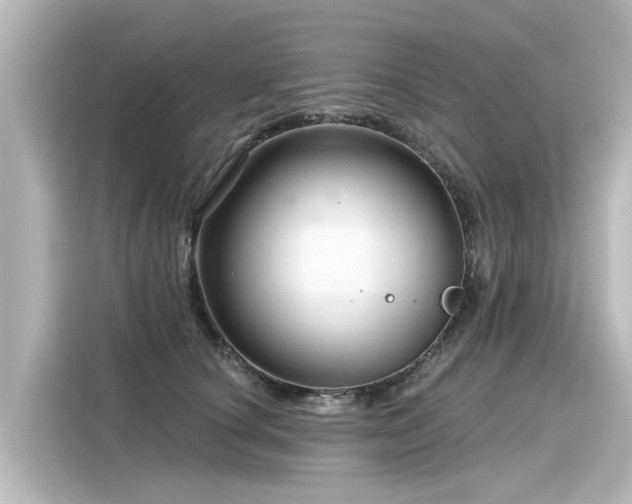 X0000116160660200911301602