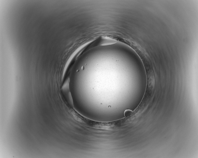 X0000116160661200911301602