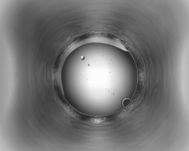 X0000116160662200911301602