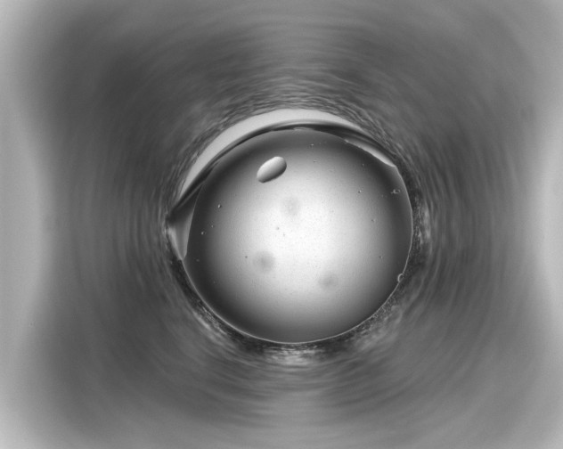 X0000116160664200911301602