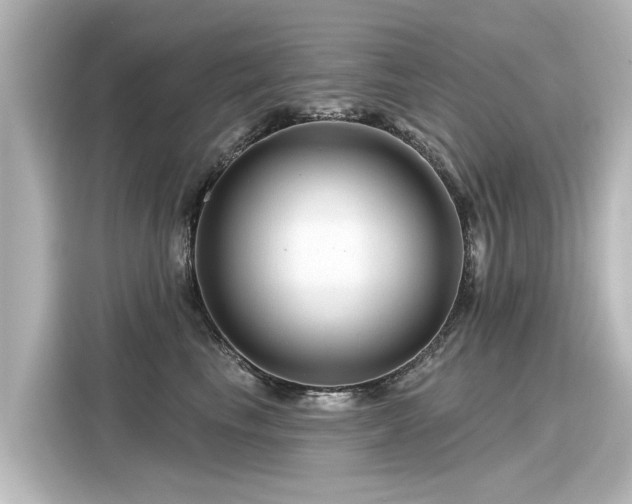 X0000116160665200911301602