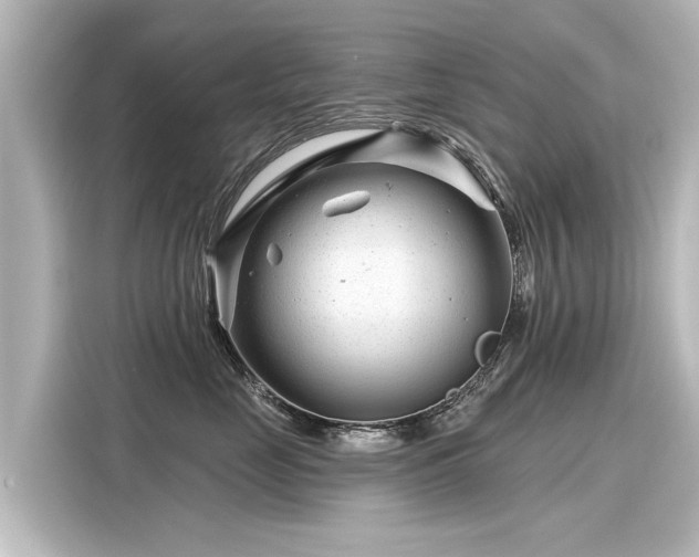 X0000116160669200911301602