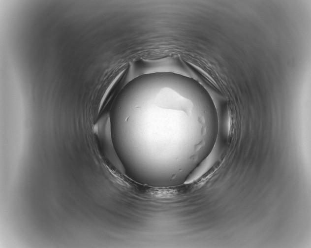 X0000116160670200911301602