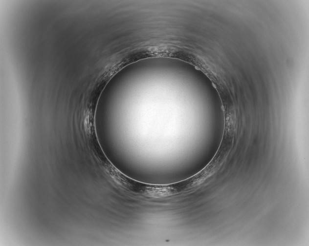 X0000116160671200911301602