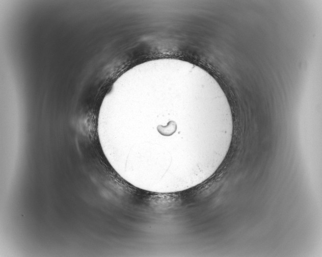 X0000116160672200911301602