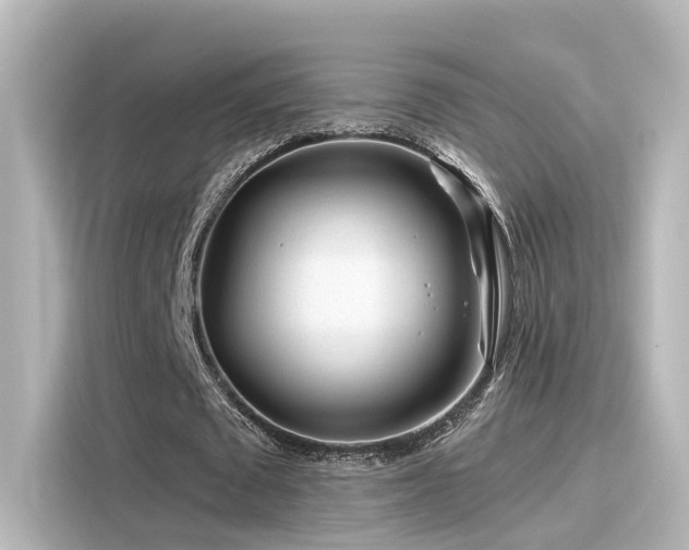 X0000116160673200911301602