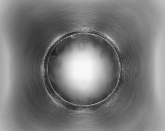 X0000116160674200911301602