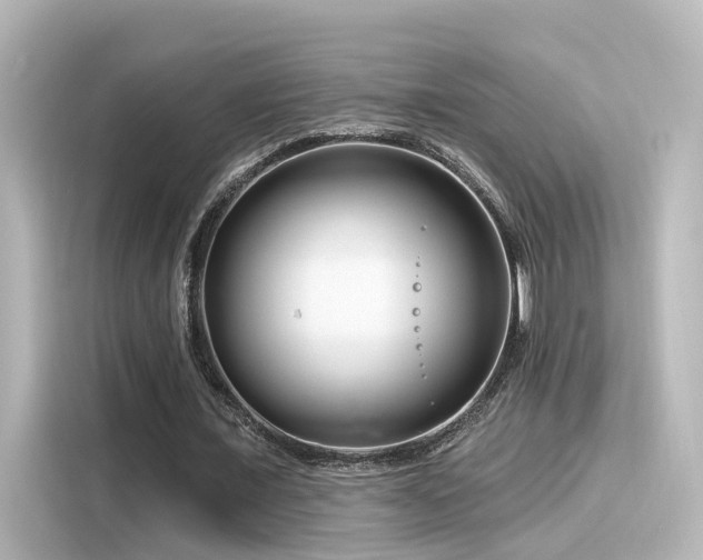 X0000116160675200911301602