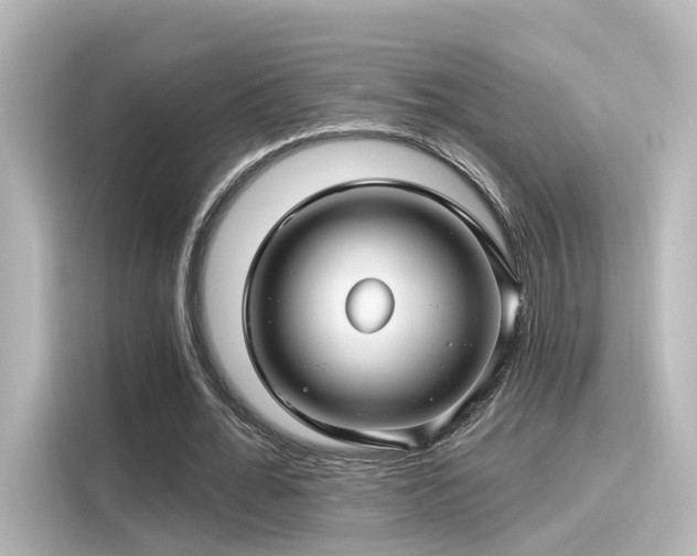 X0000116160676200911301602