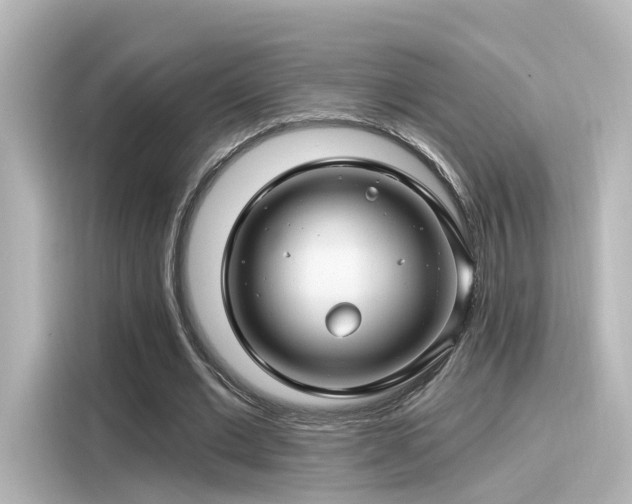 X0000116160677200911301602