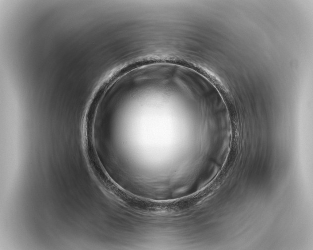 X0000116160678200911301602