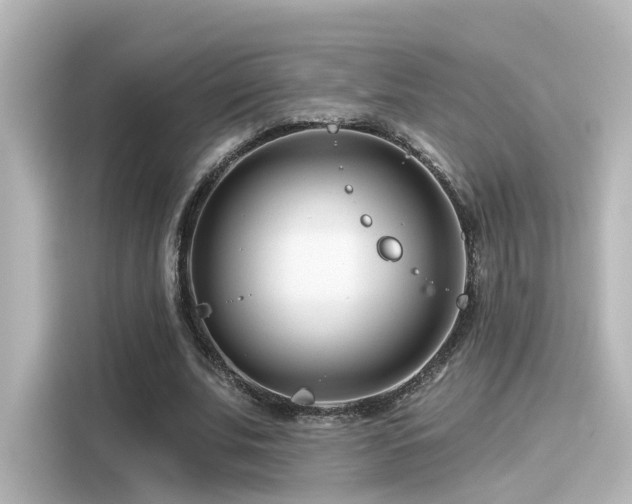 X0000116160679200911301602