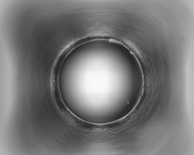 X0000116160680200911301602