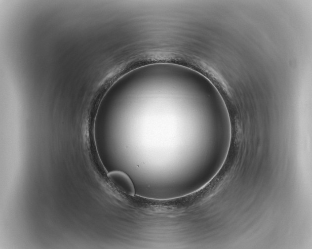 X0000116160681200911301602