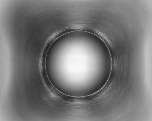 X0000116160682200911301602