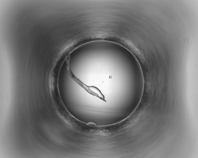 X0000116160683200911301602