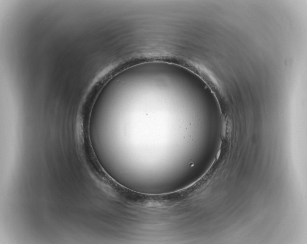 X0000116160684200911301602