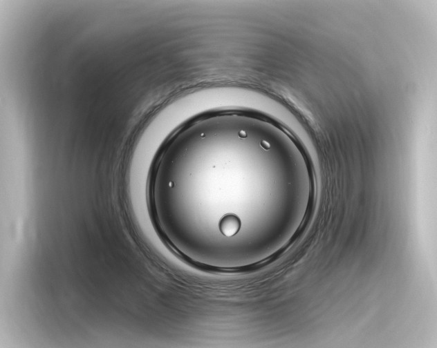 X0000116160685200911301602