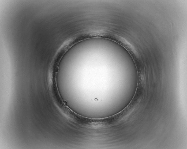 X0000116160686200911301602