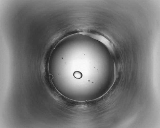 X0000116160687200911301602