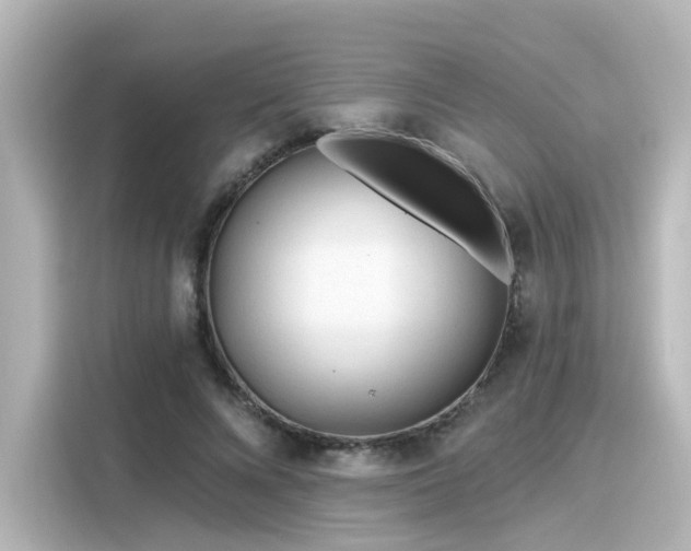 X0000116160688200911301602