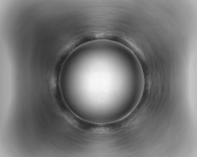 X0000116160691200911301602