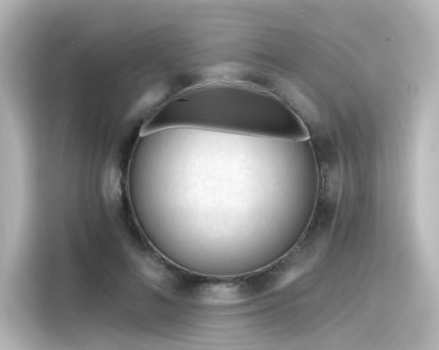 X0000116160692200911301601