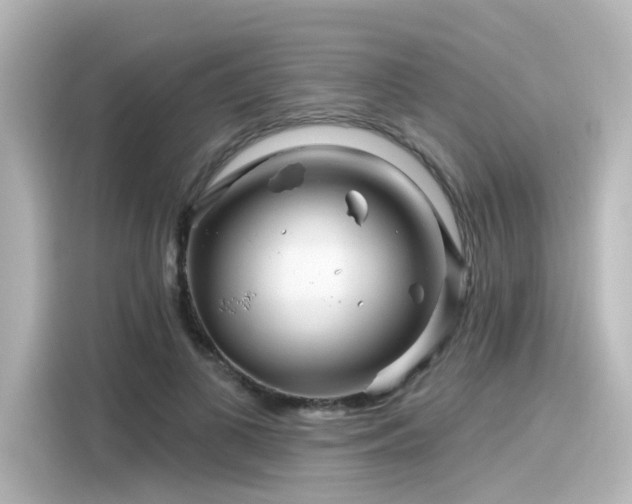 X0000116160693200911301601