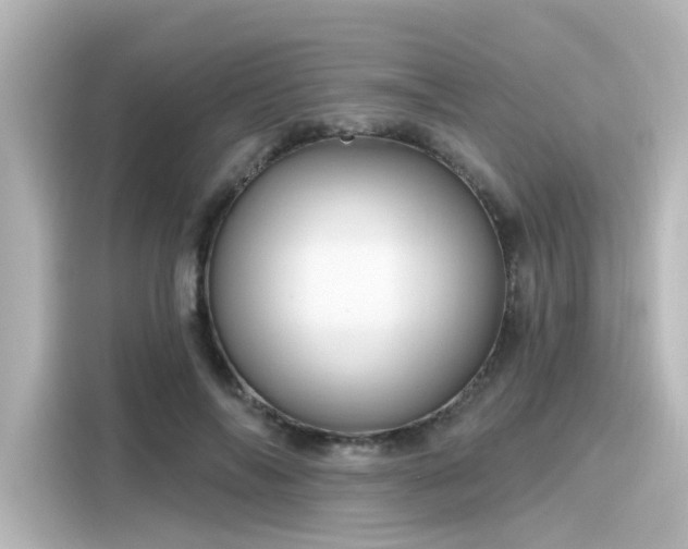 X0000116160694200911301601