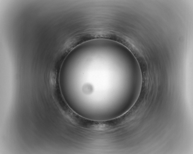 X0000116160695200911301601