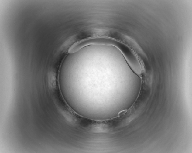 X0000116160696200911301601