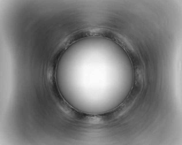 X0000116160698200911301601