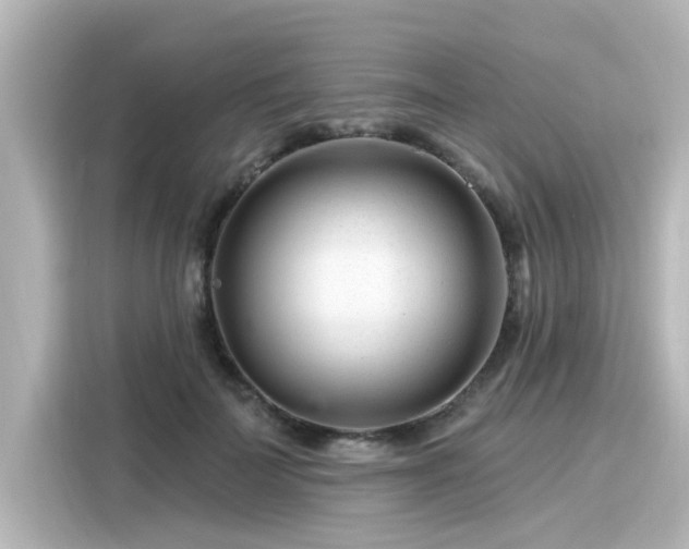 X0000116160699200911301601