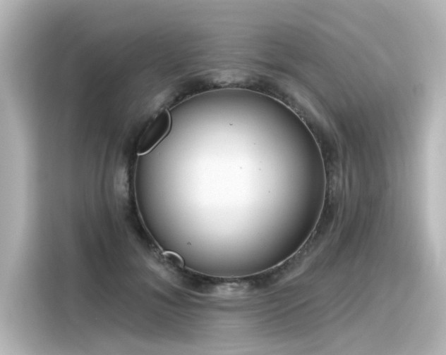 X0000116160700200911301601