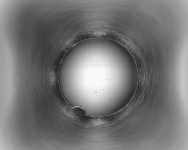 X0000116160704200911301601